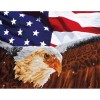 Ψηφιδωτό Diamond Dotz - Bald Eagle & Flag DD13.003