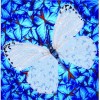 Ψηφιδωτό Diamond Dotz - Flutterby White DD5.021