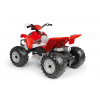 Παιδική Γουρούνα Peg Perego Polaris Outlaw 330W #OR0099