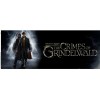 Κούπα Fantastic Beasts 2 One Sheet #MG3335