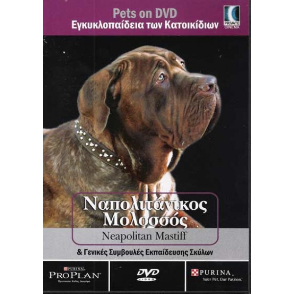 Ναπολιτάνος Μολοσσός - Napolitan Mastiff DVD #01060-DOC