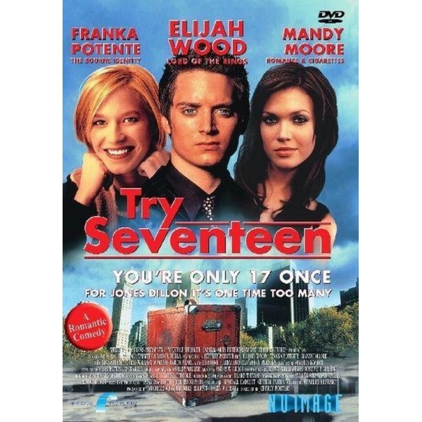 Τρελές Φαντασιώσεις - Try Seventeen (DVD Used) #03143